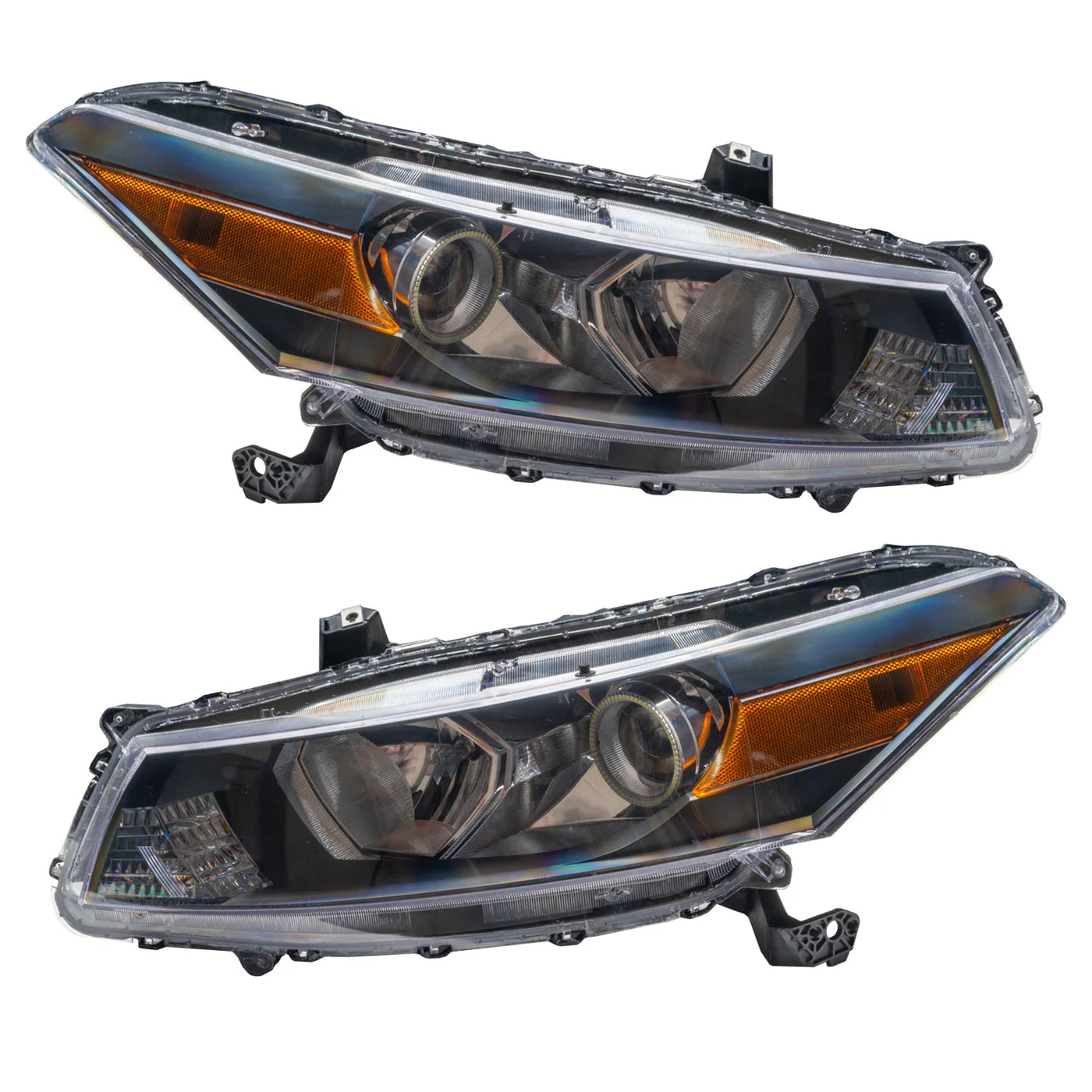 504 halo headlights accord bear de