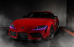 504 headlights 20 24 supra bear de