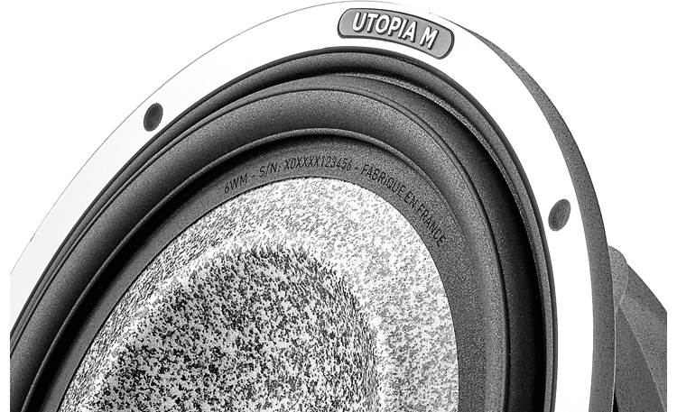 6wm car subwoofer bear delaware