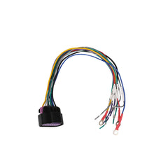 Wiring harness with colored wires on a white background