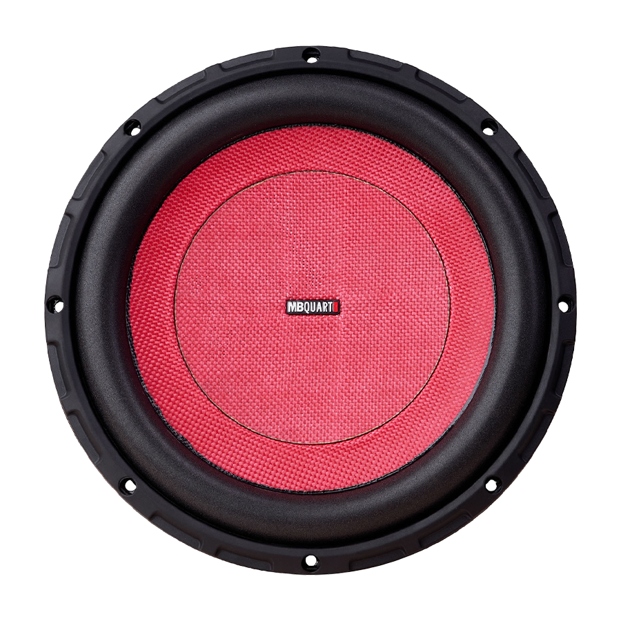 ds2 254 car subwoofer 10 inch