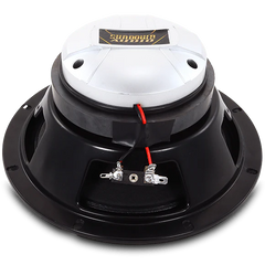 ecx8 car pro audio delaware