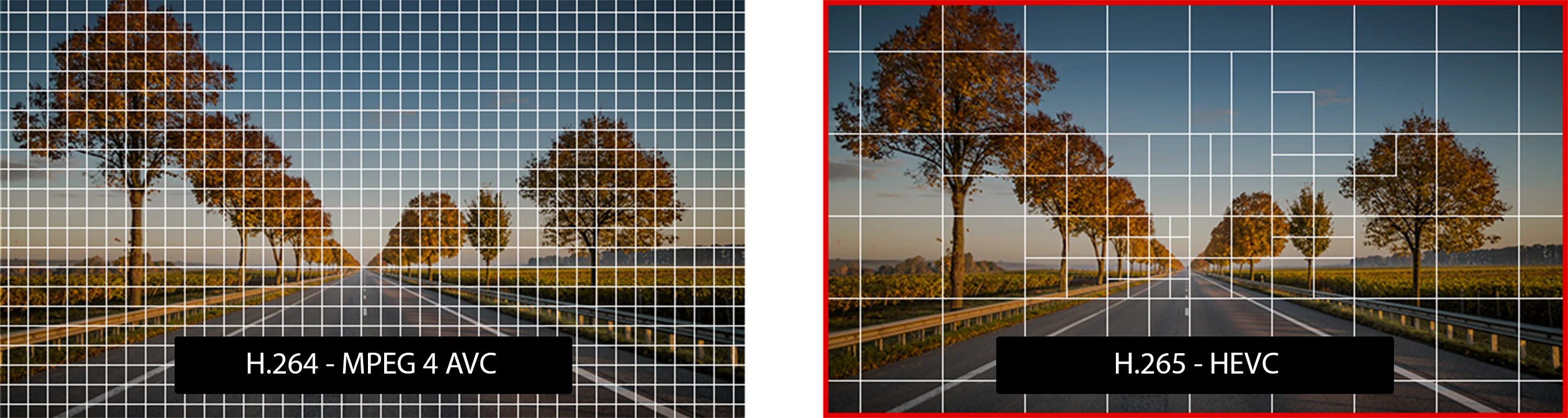 gon3 3ch dash cam system near me