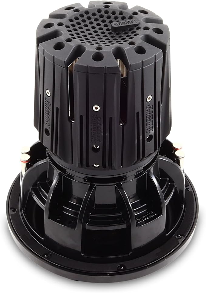 nsv6 12d2 car subwoofer bear de