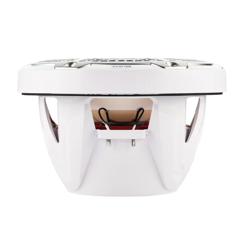 nxl 10sub marine subwoofer 300w DELAWARE
