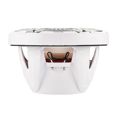 nxl 10sub marine subwoofer 300w DELAWARE