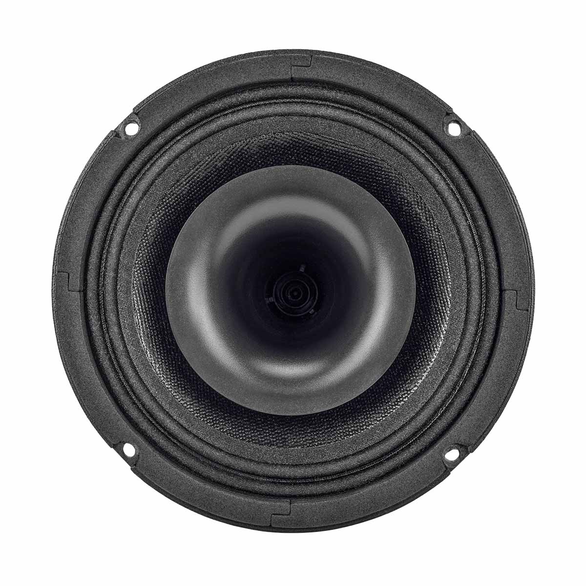 Picture of prv loudspeakers 
