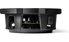 rs w10d2 car subwoofer delaware