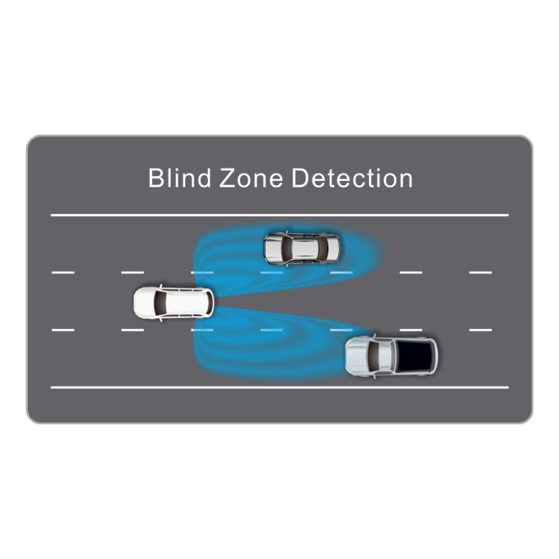 rydeen bss2lpb blind spot detection delaware